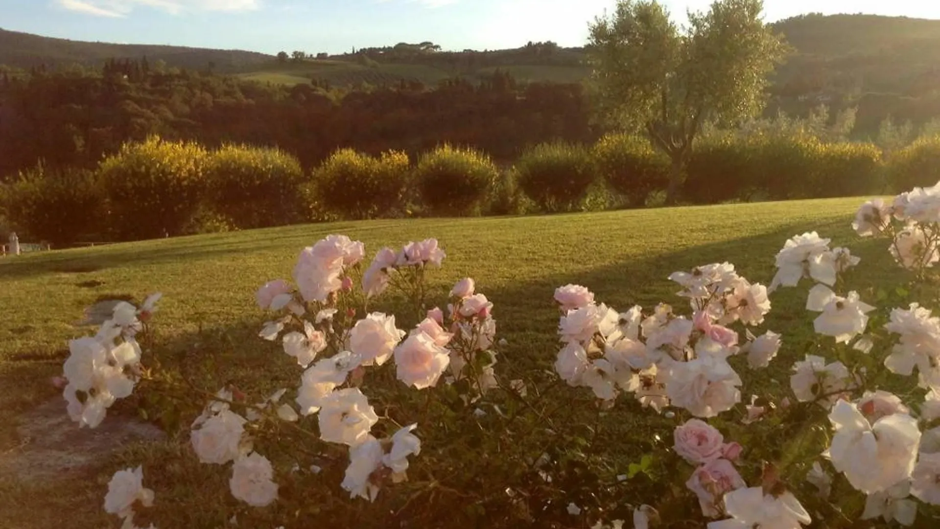 Apartment With One Bedroom In San Gimignano, With Pool Access, Furnish