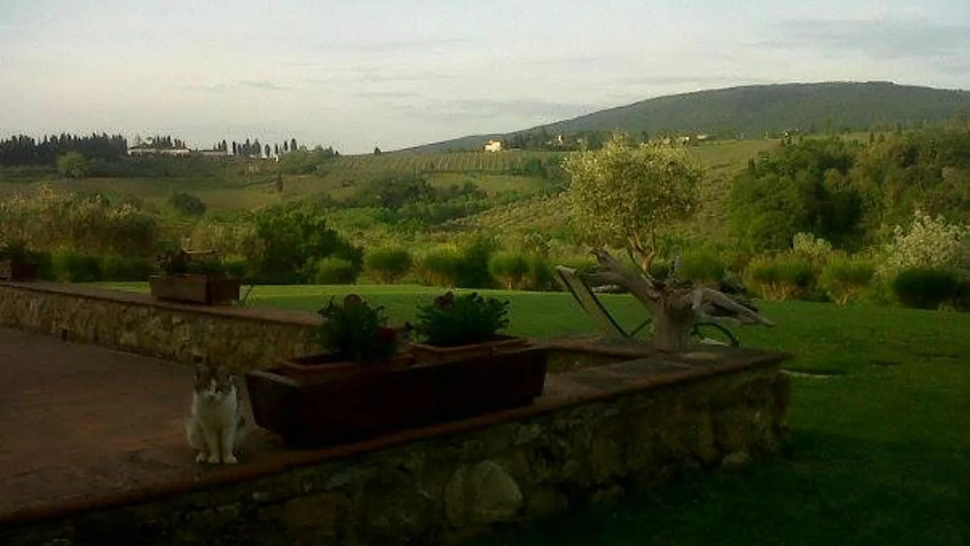 Apartment With One Bedroom In San Gimignano, With Pool Access, Furnish